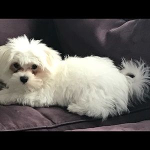 Meet your Posher, Kristine